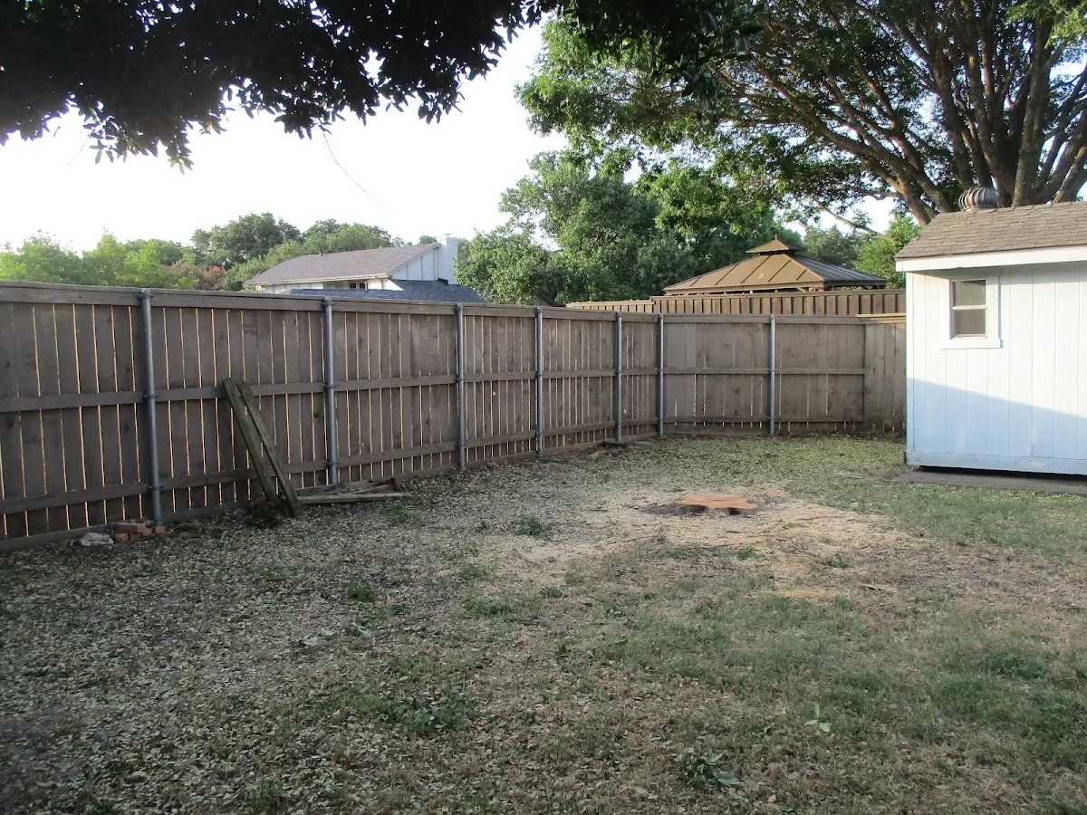 Cleared yard after professional tree removal in Lummi Island