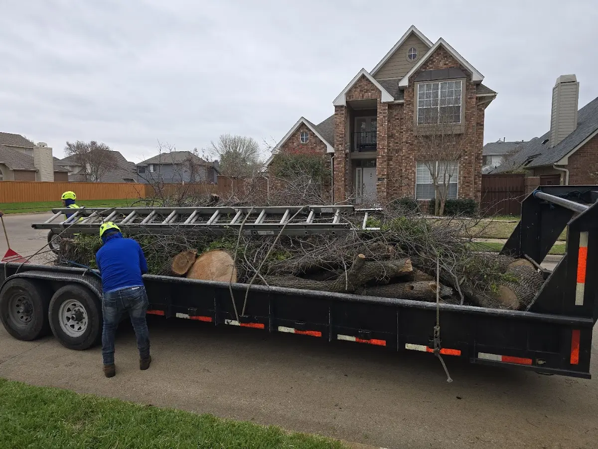Expert Lot Clearing with proper safety equipment in Lummi Island